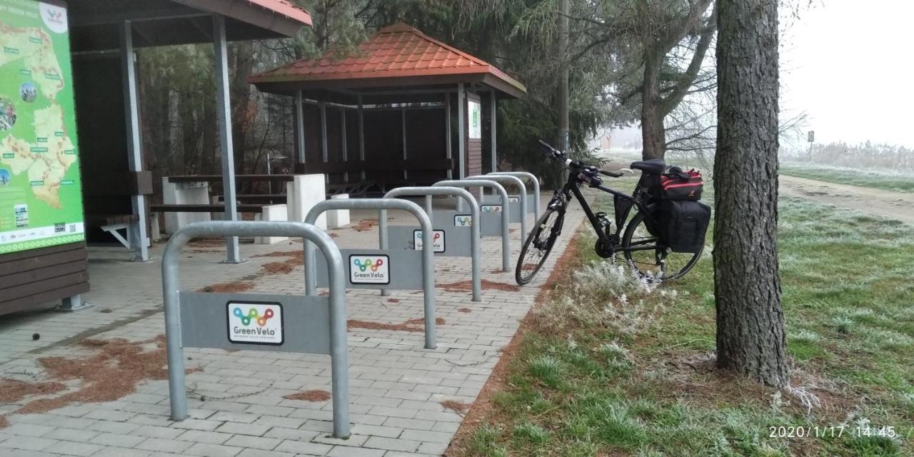 Bialowieza Spanie Na Sianie Puszcza Bialowieska Dubicze Cerkiewne Exterior foto
